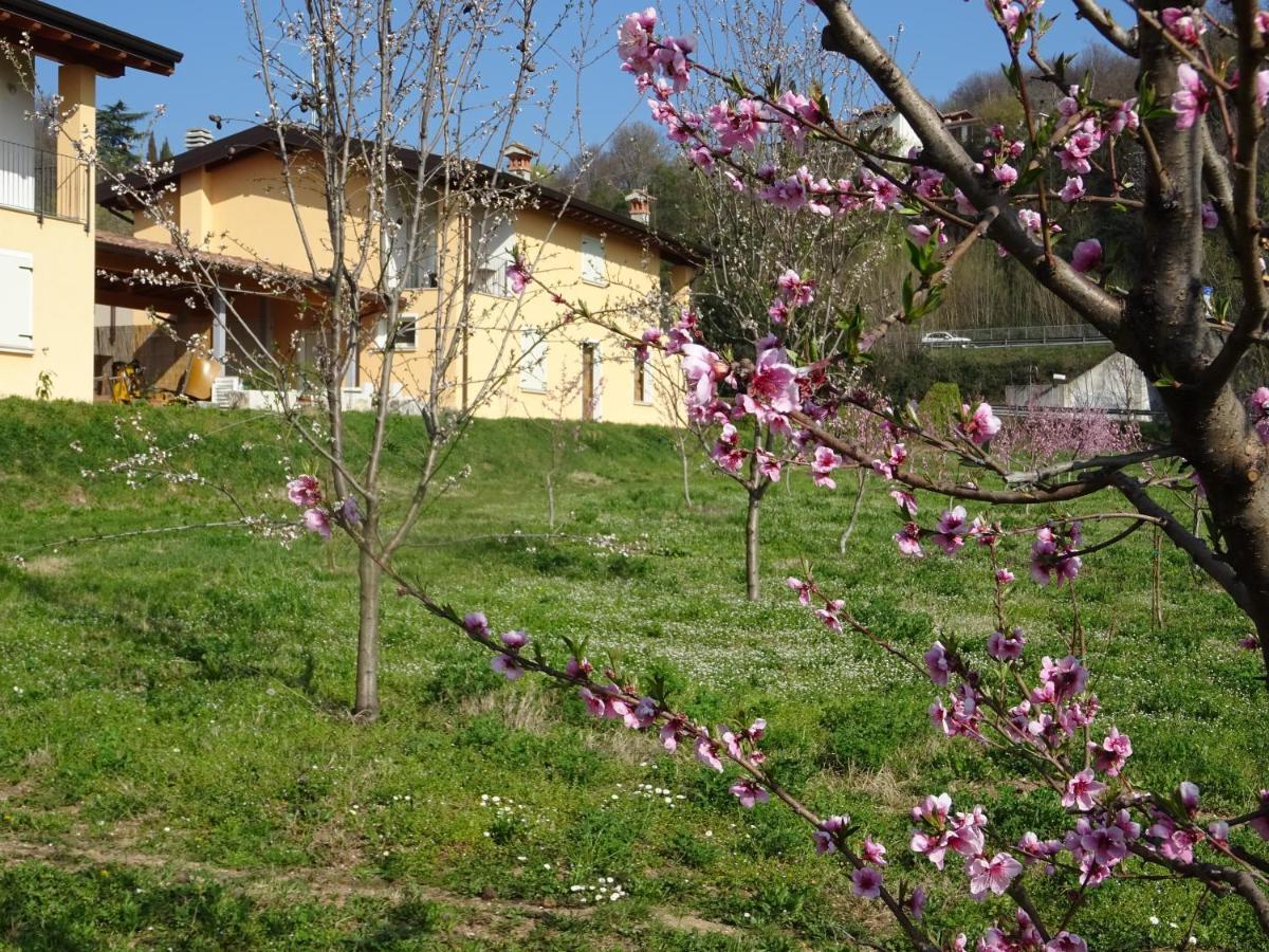 Cascina Legnago Trilocale A 6 Chilometri Da Salo' Leilighet Villanuova sul clisi Eksteriør bilde