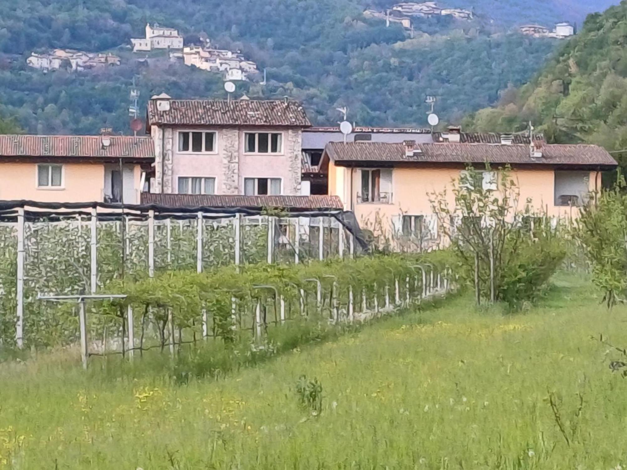 Cascina Legnago Trilocale A 6 Chilometri Da Salo' Leilighet Villanuova sul clisi Eksteriør bilde