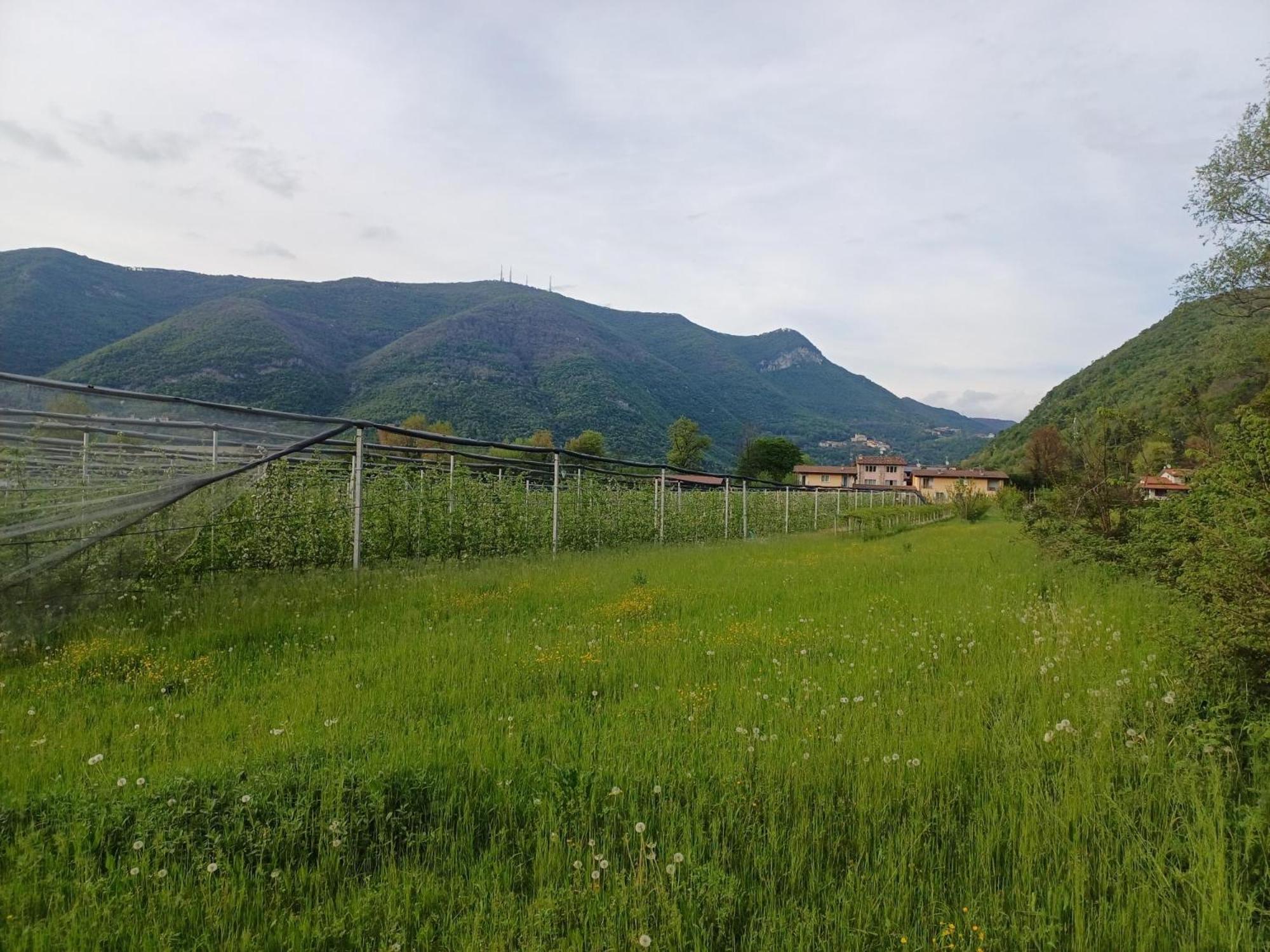 Cascina Legnago Trilocale A 6 Chilometri Da Salo' Leilighet Villanuova sul clisi Eksteriør bilde